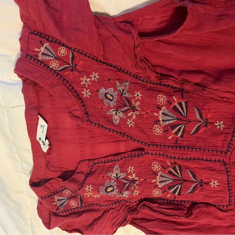 Cranberry Ruffle Cap Sleeve Embellished Dress